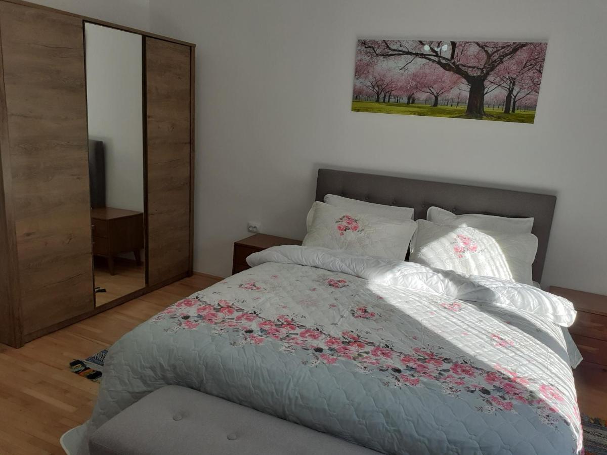 R-House Apartment Брашов Екстериор снимка